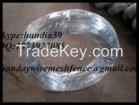 High Quality Electro-Galvanized Iron Wire for Construction