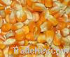  Maize | Maize Exporter | Corn Grain Seller | Maize Buyer | Bulk Maize Grain Importer | Corn bean Buyer | Corn bean Wholesaler | Corn Grain Manufacturer | Best Quality Corn Grain | Cheap Maize Supplier | Low Price Corn | Yellow Corn | White Cron | Baby Ma