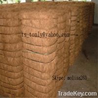 Buy Malaysia Palm Fiber