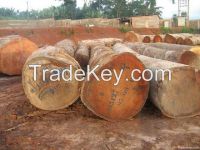 we have big bubinga  logs  and lumber timber for sale now in huge quantity.