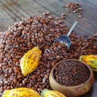 Raw Cocoa Beans, Cocoa Powder, Uncommon Cacao, Wholesale Cocoa Beans, Cacao beans for Chocolate Makers