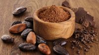 Raw Cocoa beans, Roasted Cocoa Beans, Powder Cocoa Beans, Cocoa Seeds