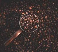 Raw Arabica Coffee beans, Roasted Arabica Coffee Beans, Powder Arabica Coffee Beans, Instant Coffee