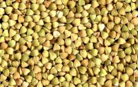 Buckwheat for sale, Cheap Buckwheat for sale, Buckwheat Hulled (out of shell Unroasted)