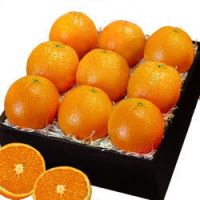 Fresh Oranges for sale, Florida Navel Oranges, Oranges Citrus Fruits Grocery & Gourmet Food, Valencia orange