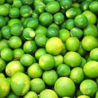 Lemons Citrus Fruits Grocery & Gourmet Food, California Fresh Organic Lemons, Wholesale fresh lemon fruit With Great Nutritional Benefits