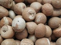 Natural Betel Nuts at Wholesale Price, Betel Nuts whole Organic Dried Areca Nut Betel Nut, Betel Nuts (Areca Nut Supari) Pieces-200 gm, 400 gm