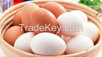 Grade A White and Brown Chicken eggs for sale