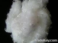 Sell 1.4D recycaled PSF from china of white color