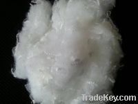 Sell recyc;ed polyester staple fiber 1.5D raw white solid