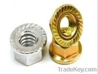 Sell Flange Nuts