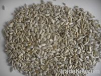 Sell bakery grade sunflower kernel