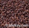 Sell cocoa beans and Products