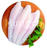 White Pangasius Hypophthalmus