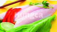 Sell Light Pink Pangasius Fillet