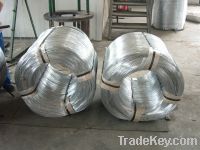Sell (Factory) Galvanized iron wire&Galvanized wire