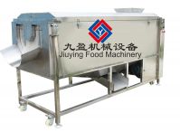 Large type Vegetable Washer &Peeler JYTP-3000