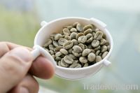 Coffee Green Beans Grade AA