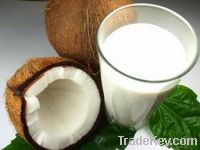 Sell Organic and Inorganic coconut milk