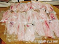 Sell Frozen seabass fillet