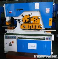 Sell Q35Y-16 combined punching and shearing machine
