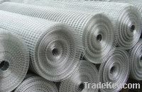 Sell welede  wire mesh