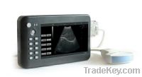 Sell Hand Carried Digital Diagnostic Ultrasound