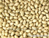 Sell BLANCHED PEANUTS