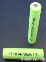 sell Ni-MH rechargeable batteries for personal care appliances