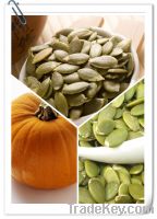 Sell pumpkin seed kernels