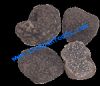 Sell chinese black truffle (tuber indicum)