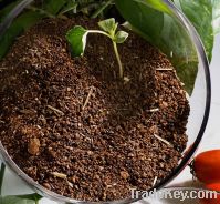 Sell Organic fertilizer Tea seed meal