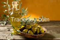 Olive Oil