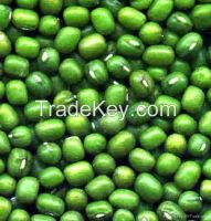 Green Mung Beans