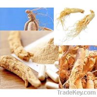 Sell Ginseng Extract Powder