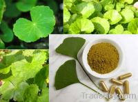 Sell Centella asiatica extract