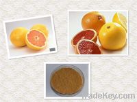 Sell organic grapefruit seed extract oligomeric proanthocyanidins