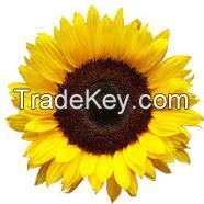 REFINED SUNFLOWER OIL and CRUDE SUNFLOWER OIL