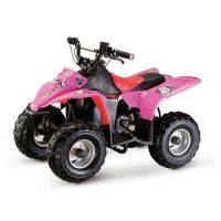 electric ATV(quad)(atv kid)(atv racing)( 350w with EPA approval)