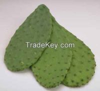 Sell Nopal