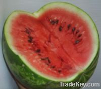 Sweet Fresh Watermelon