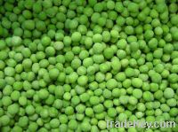 Frozen Green Peas