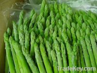 Fresh Asparagus