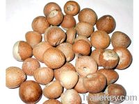 whole and split betel nut