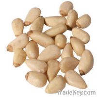 Pine Nuts