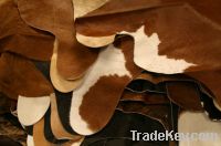 Cow Hide