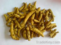 Sell dry turmeric (spice)