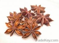 Star Anise - Ha Noi, Viet Nam