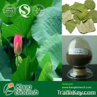 lotus leaf extract nuciferine