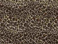 animal skin